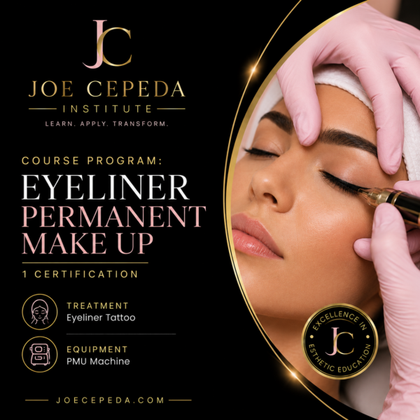 Professional Eyeliner Tattoo Artist Certification Program